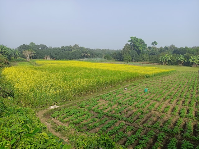 Herbs Farm – Bagamoyo